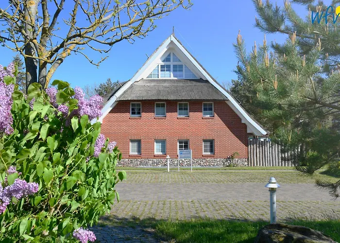 Am Gutspark Drankse Sonnenmeer * Dranske